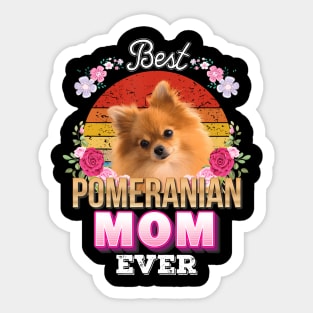 Best Dog Mom Ever Pomeranian Floral Retro Lover Mother Day Sticker